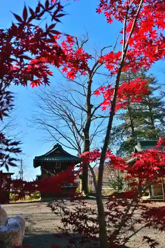 美和神社(群馬県)