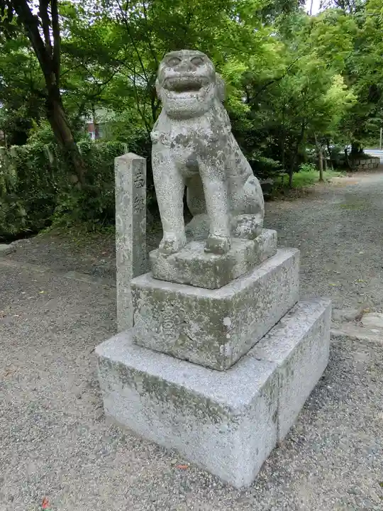 中山神社の狛犬
