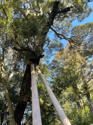 鹿島神宮(茨城県)