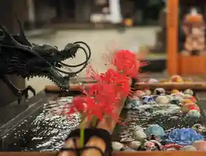 今市報徳二宮神社の手水舎(2022年09月21日(水) 16時54分45秒投稿)