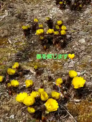 石都々古和気神社(福島県)