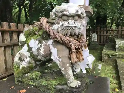 武雄神社の狛犬