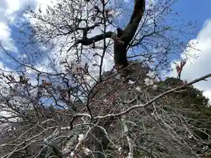 北野神社のその他建物(2024年04月08日(月) 09時30分26秒投稿)