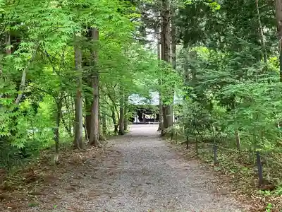 出早雄小萩神社の自然