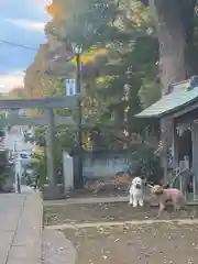 下田神社(神奈川県)