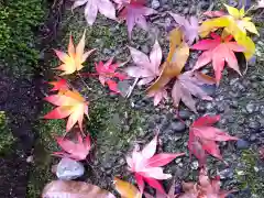 岡太神社(福井県)