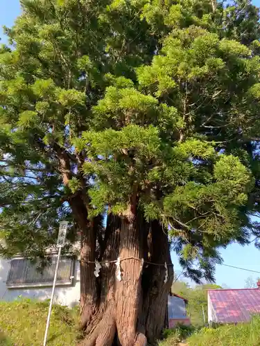 岩木山神社(青森県)