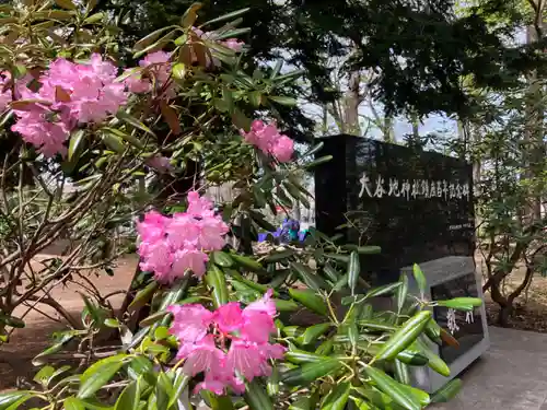 大谷地神社の自然