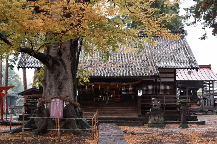 白鳥神社(長野県)