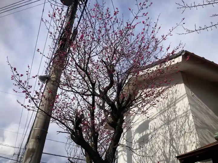 下長津田神社(神奈川県)