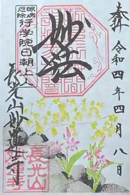 4月御朱印
紫蘭と日向水木