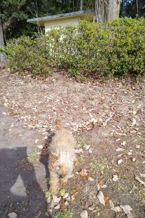 玉野御嶽神社の動物