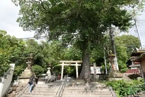 枚岡神社のその他建物
