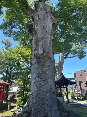 科野大宮社(長野県)