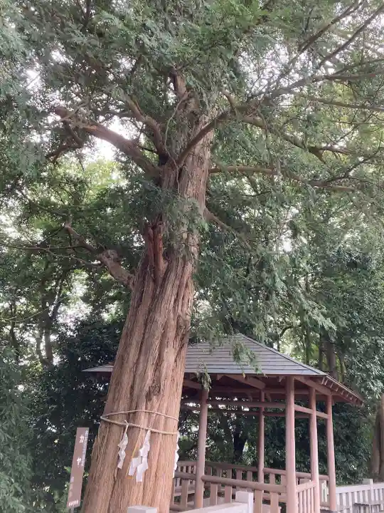 神鳥前川神社(神奈川県)
