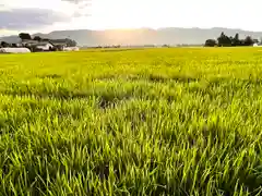 岩崎神社(長野県)