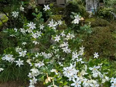法華寺(岐阜県)