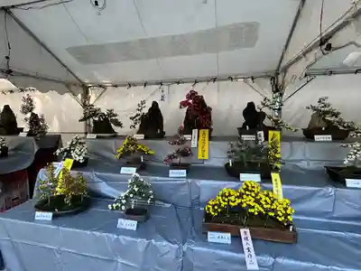 穂高神社本宮(長野県)