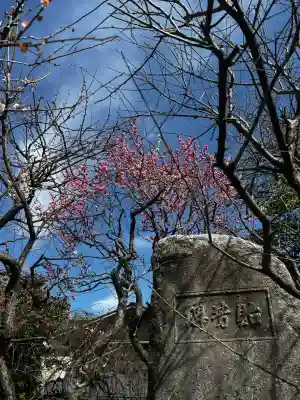 亀戸天神社の{uncategorized: "未分類", other: "その他", undefined: "問題あり", building: "その他建物", grave: "お墓", sacred_gate: "鳥居", guardian: "狛犬", statue: "像", buddha: "仏像", history: "歴史", nature: "自然", garden: "庭園", animal: "動物", pagoda: "塔", temizu: "手水舎", mountain_gate: "山門・神門", sanctuary: "本殿・本堂", subordinate: "末社・摂社", art: "芸術", scenery: "景色", jizo: "地蔵", ema: "絵馬", goshuin: "御朱印", omikuji: "おみくじ", items: "授与品その他", amulet: "お守り", goshuincho: "御朱印帳", eats: "食事", festival: "お祭り", votive_dance: "神楽", shichigosan: "七五三参", wedding: "結婚式", experience: "体験その他", initially: "初詣", around: "周辺", anti_infection: "感染症対策"}