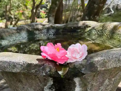 法然院(京都府)