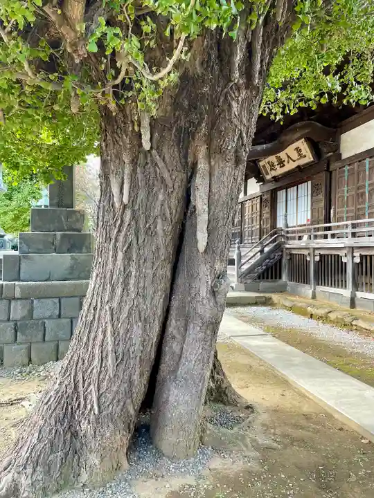 龍本寺(神奈川県)