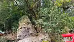 三柱神社(兵庫県)