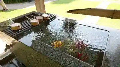 横浜 西方寺の手水舎