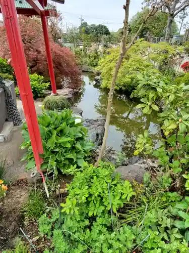 泉竜寺(乙女不動尊)の庭園