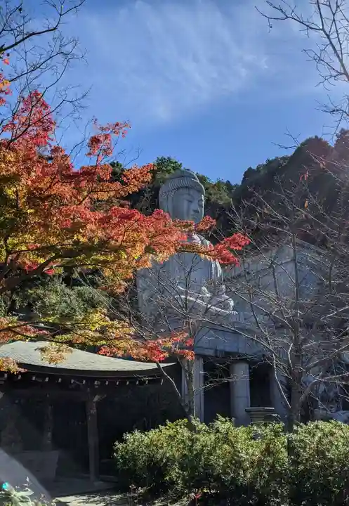 南法華寺(壷阪寺)(奈良県)
