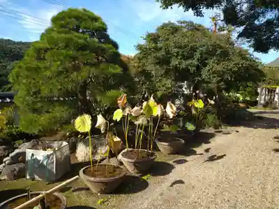 瀧泉寺のその他建物