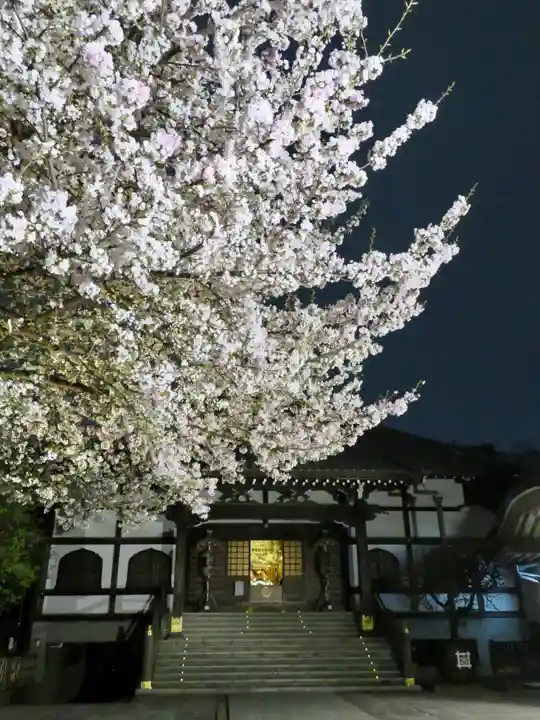 感通寺の本殿・本堂