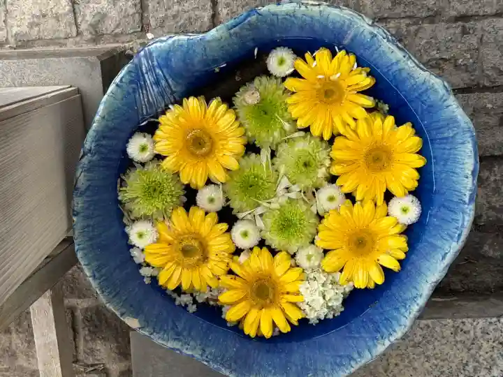 川越八幡宮の{uncategorized: "未分類", other: "その他", undefined: "問題あり", building: "その他建物", grave: "お墓", sacred_gate: "鳥居", guardian: "狛犬", statue: "像", buddha: "仏像", history: "歴史", nature: "自然", garden: "庭園", animal: "動物", pagoda: "塔", temizu: "手水舎", mountain_gate: "山門・神門", sanctuary: "本殿・本堂", subordinate: "末社・摂社", art: "芸術", scenery: "景色", jizo: "地蔵", ema: "絵馬", goshuin: "御朱印", omikuji: "おみくじ", items: "授与品その他", amulet: "お守り", goshuincho: "御朱印帳", eats: "食事", festival: "お祭り", votive_dance: "神楽", shichigosan: "七五三参", wedding: "結婚式", experience: "体験その他", initially: "初詣", around: "周辺", anti_infection: "感染症対策"}