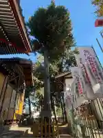 駒形伏見稲荷神社(群馬県)