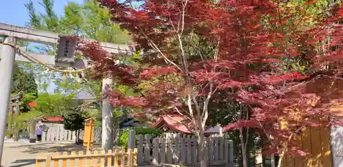 金蛇水神社の自然
