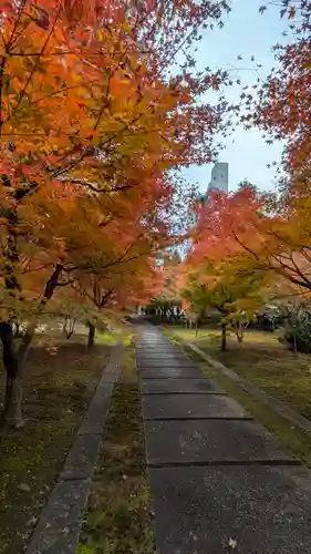 興聖寺(京都府)