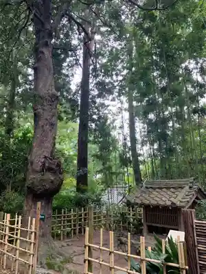 龍潭寺(静岡県)