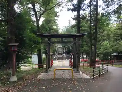 安房神社の鳥居