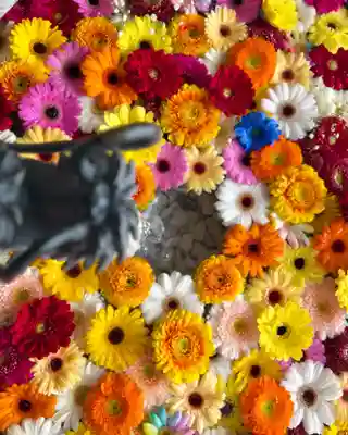 札幌諏訪神社の手水舎