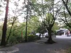 今熊野観音寺の建物その他