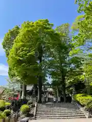 瀧宮神社(埼玉県)