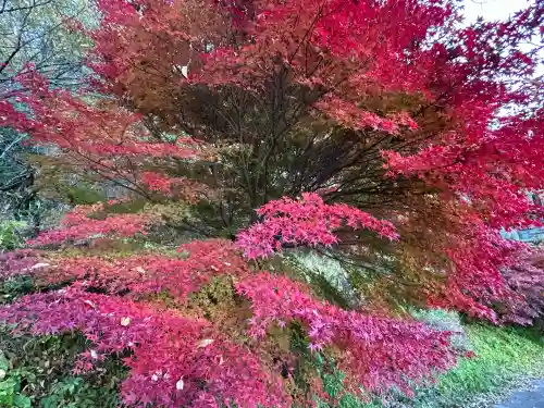 国宝 大法寺(長野県)