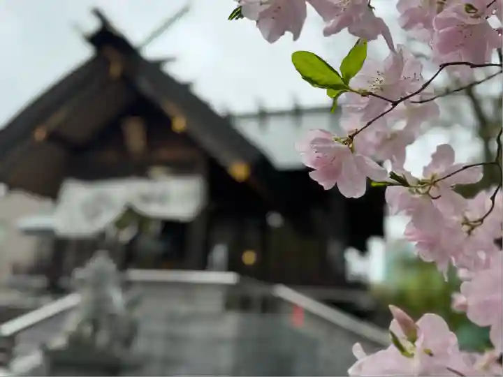 信濃神社(北海道)