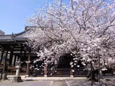 本法寺(京都府)
