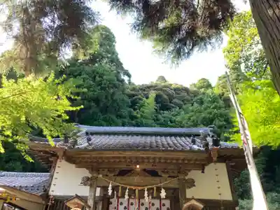 田間神社(千葉県)