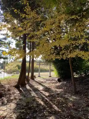 八坂神社(千葉県)