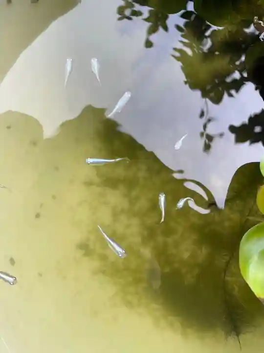 伊勢の国 四天王寺の動物