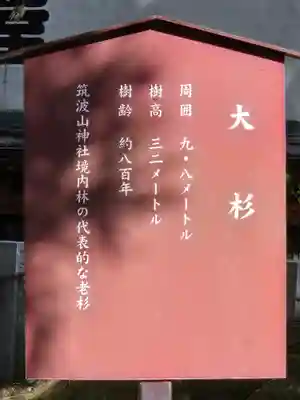 筑波山神社(茨城県)