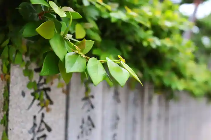三津厳島神社(愛媛県)