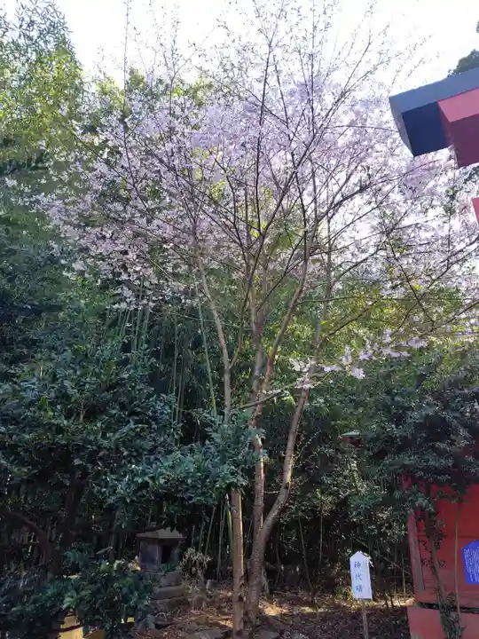 神炊館神社 ⁂奥州須賀川総鎮守⁂(福島県)