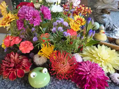 滑川神社 - 仕事と子どもの守り神の手水舎